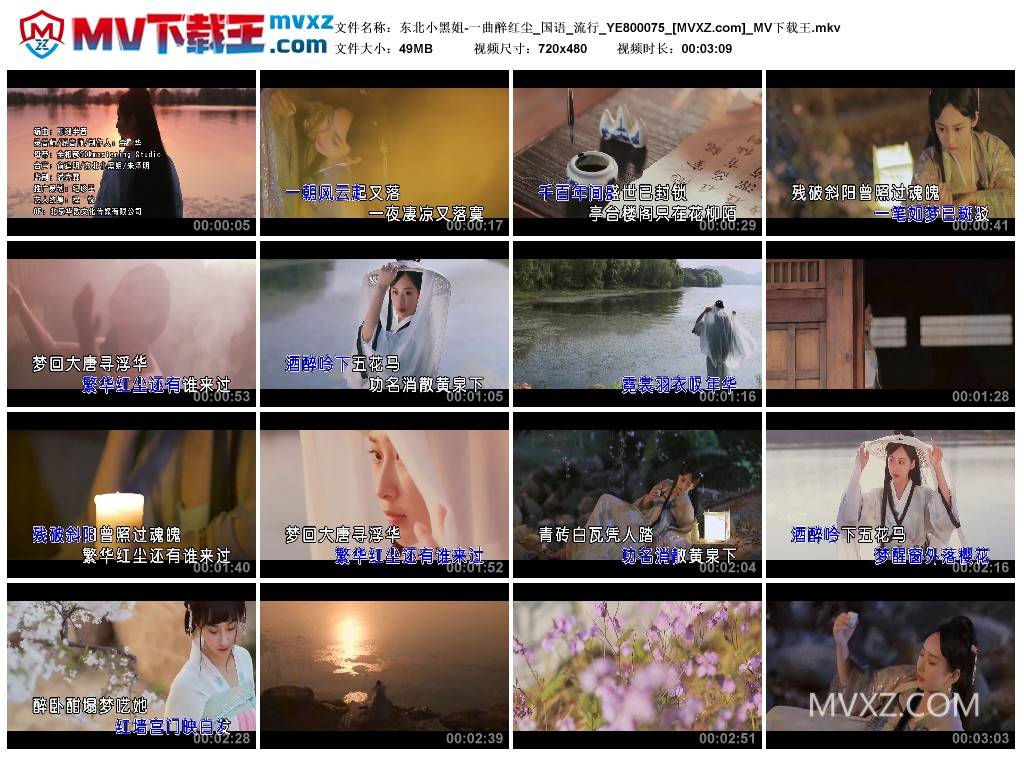 东北小黑姐-一曲醉红尘_国语_流行_YE800075